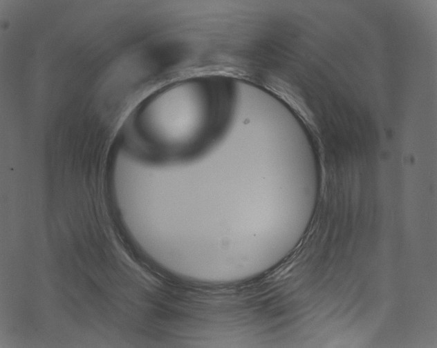 X0000074340156200608251054