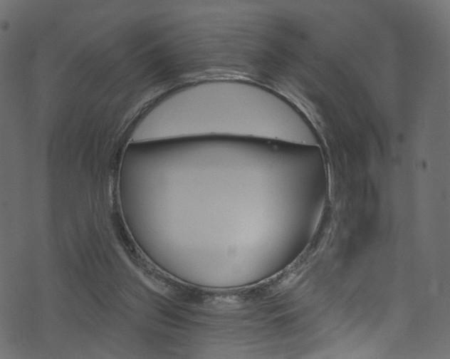 X0000074340157200608251054