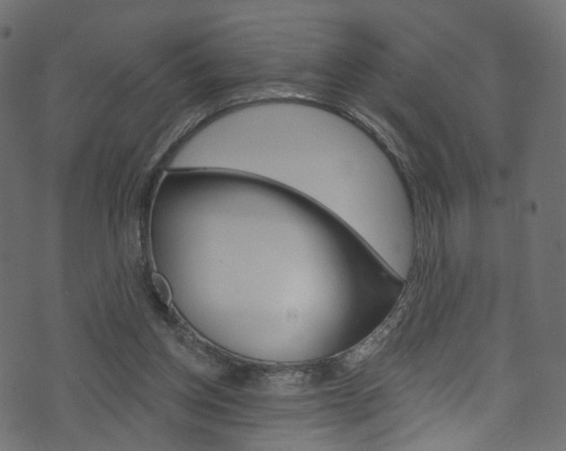 X0000074340158200608251054