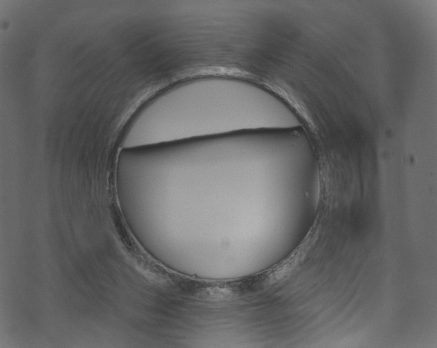 X0000074340159200608251054