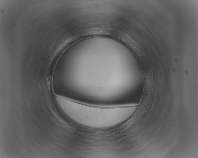 X0000074340160200608251054