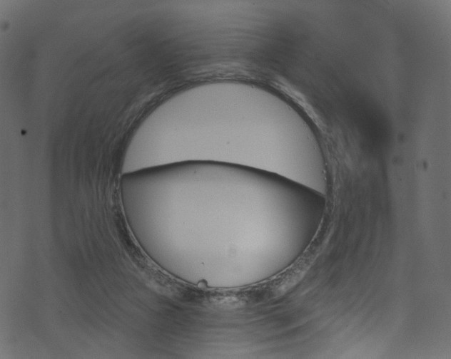 X0000074340161200608251054