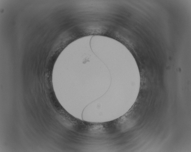 X0000074340162200608251054