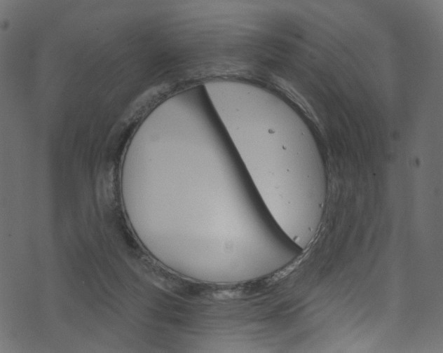 X0000074340163200608251054