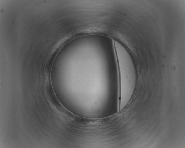 X0000074340164200608251054