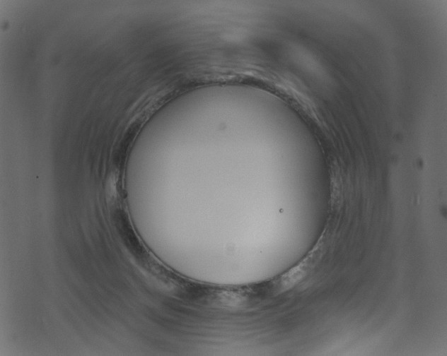 X0000074340166200608251054