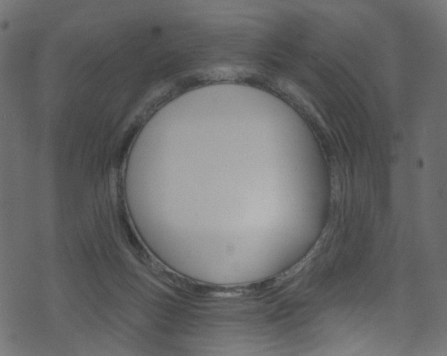 X0000074340167200608251054