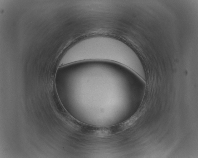 X0000074340168200608251054