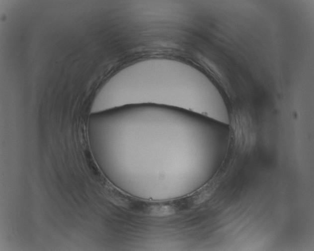 X0000074340169200608251054