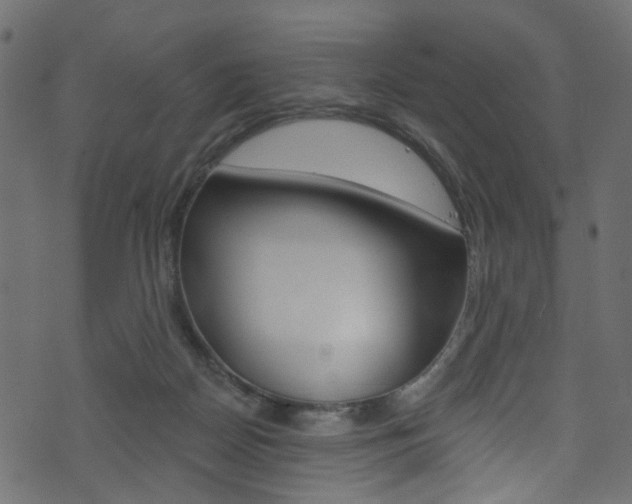 X0000074340170200608251054