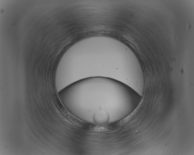 X0000074340171200608251054