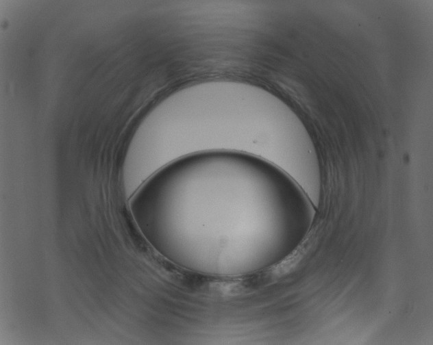 X0000074340172200608251054