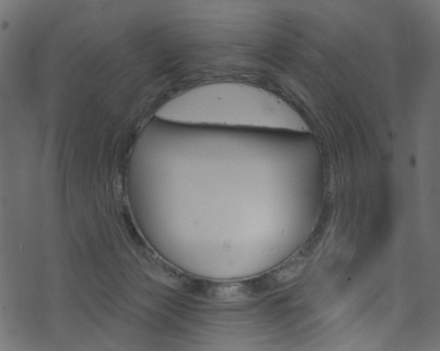 X0000074340173200608251054