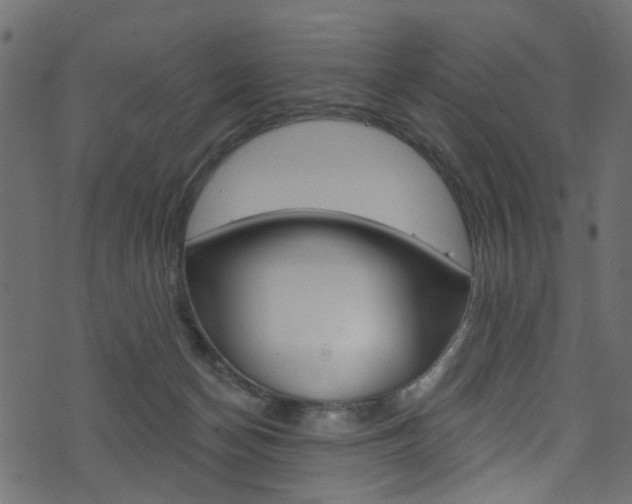 X0000074340174200608251054