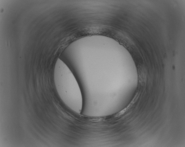 X0000074340175200608251054