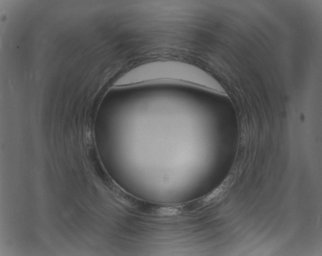 X0000074340176200608251054