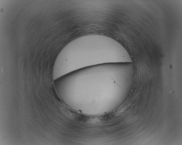 X0000074340177200608251054