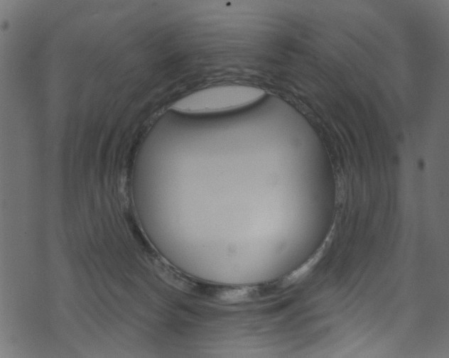 X0000074340178200608251054