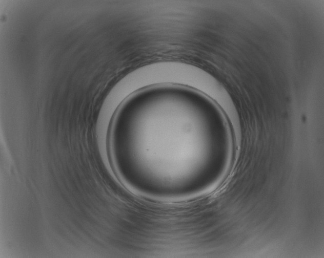 X0000074340180200608251054