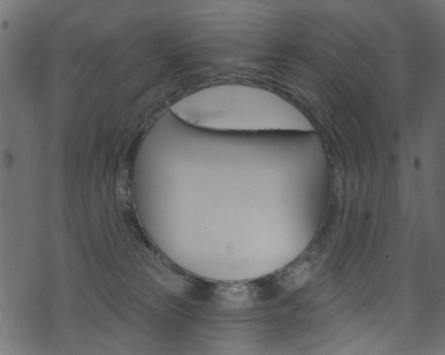 X0000074340181200608251054