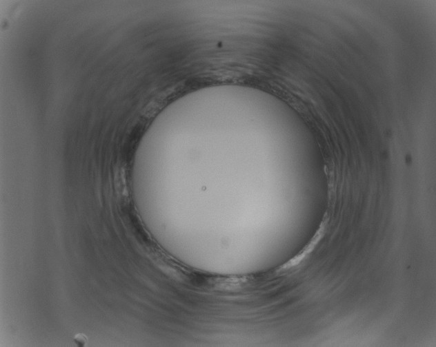 X0000074340182200608251054