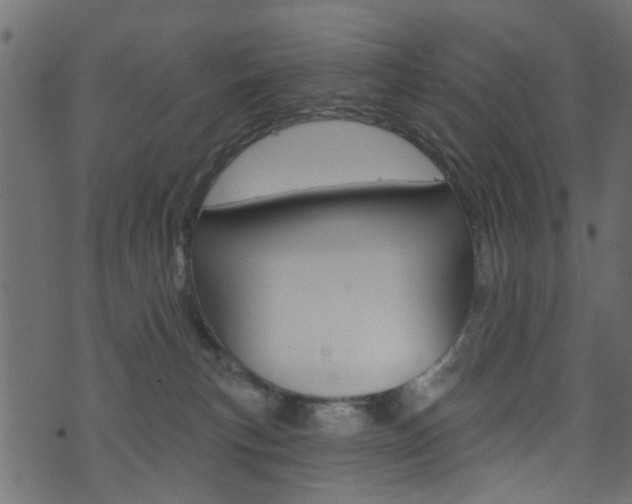 X0000074340183200608251054