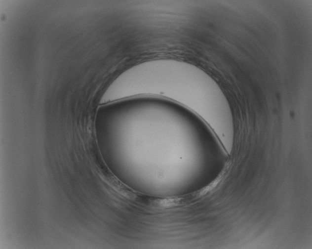 X0000074340184200608251054