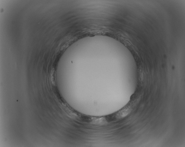 X0000074340185200608251054