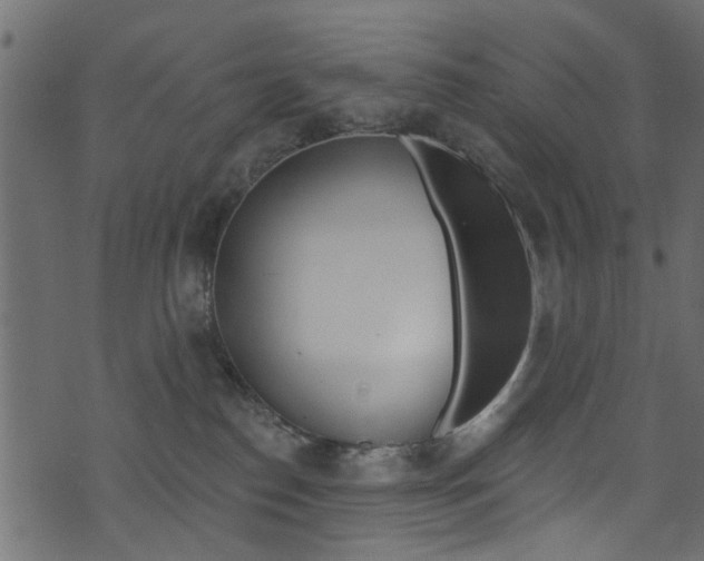 X0000074340186200608251055