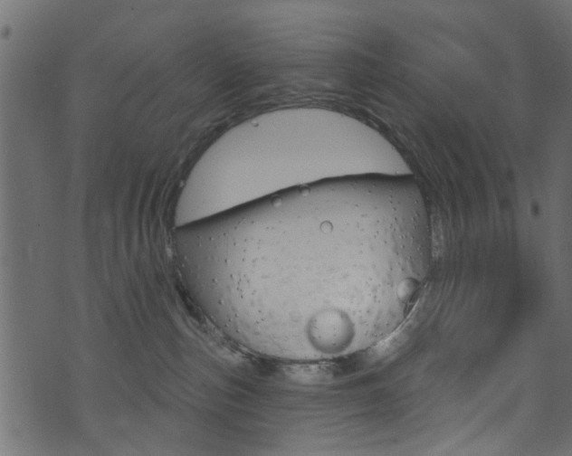 X0000074340187200608251055