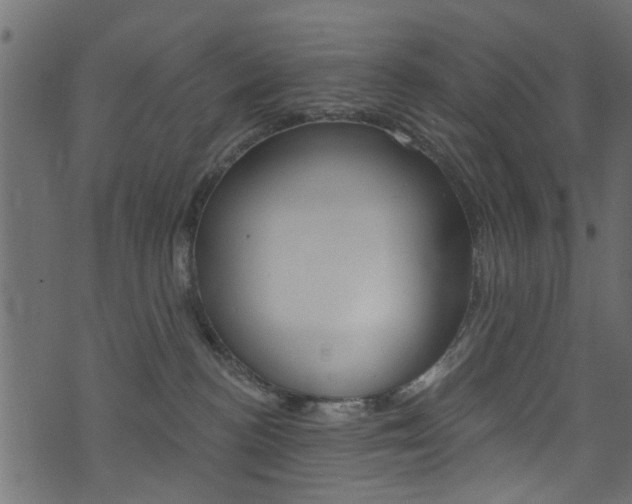 X0000074340188200608251055