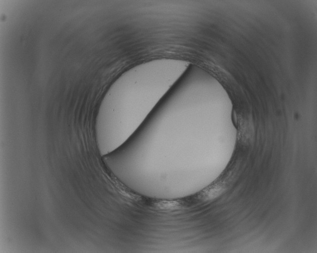 X0000074340189200608251055