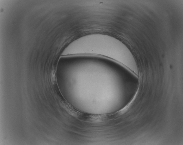 X0000074340190200608251055