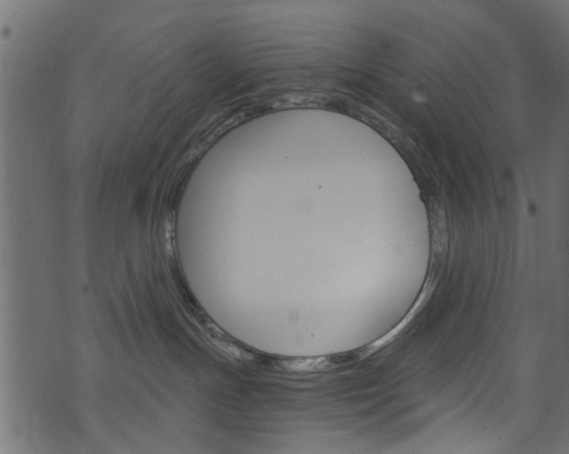 X0000074340191200608251055