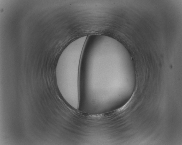 X0000074340192200608251055