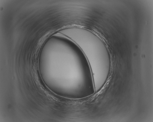 X0000074340193200608251054