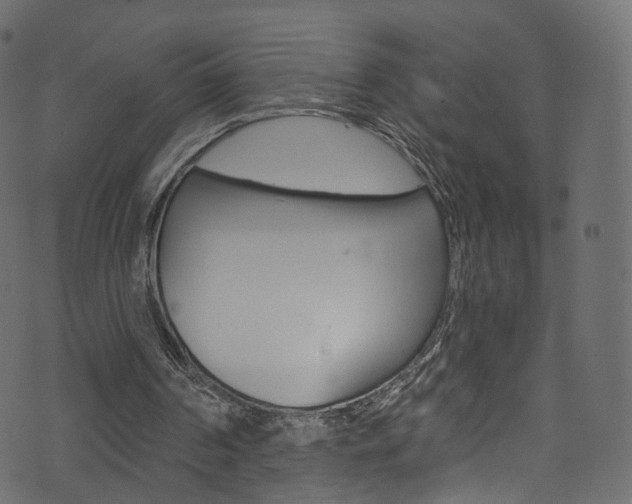 X0000074340194200608251054