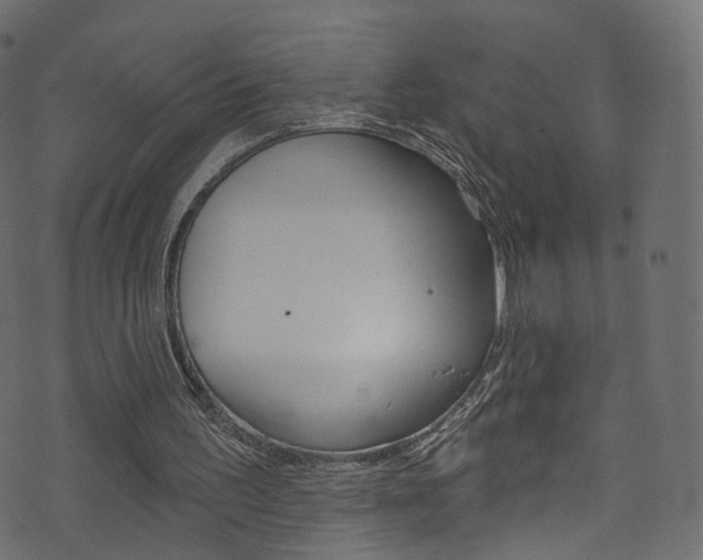 X0000074340195200608251054