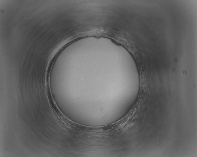 X0000074340196200608251054