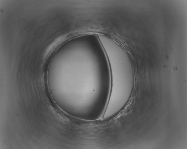 X0000074340197200608251054