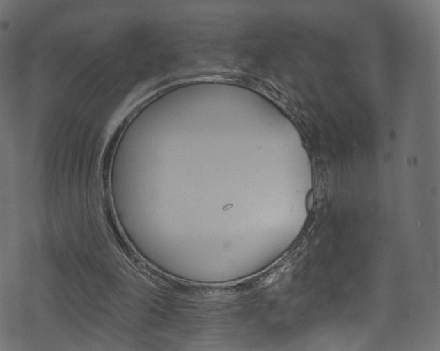 X0000074340198200608251054