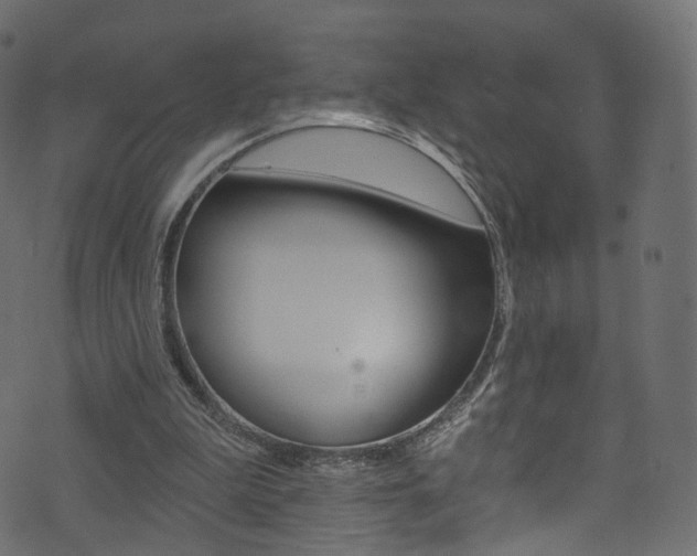 X0000074340199200608251054