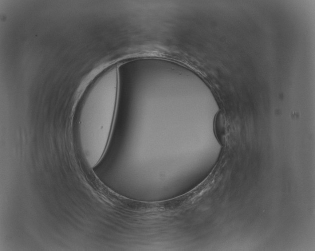 X0000074340200200608251054