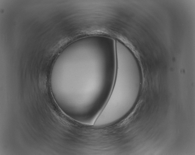 X0000074340201200608251054