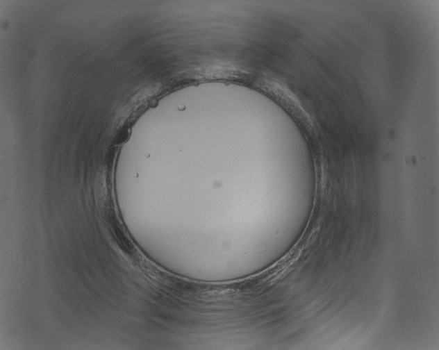 X0000074340202200608251054