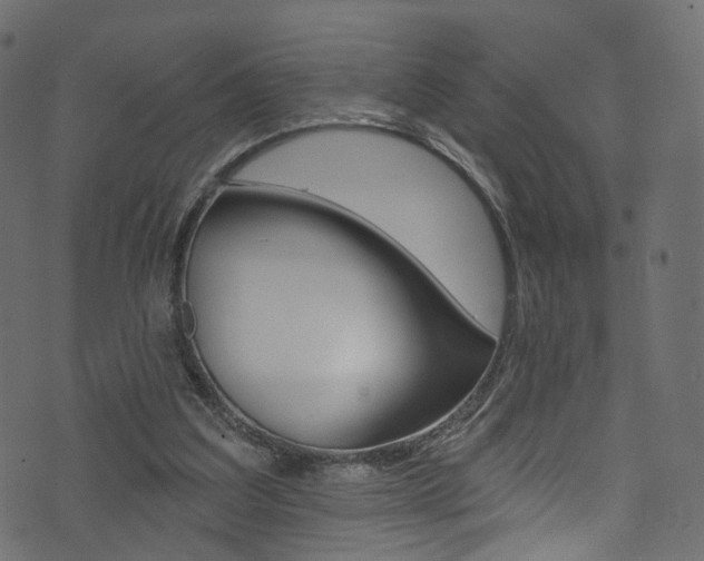 X0000074340203200608251054