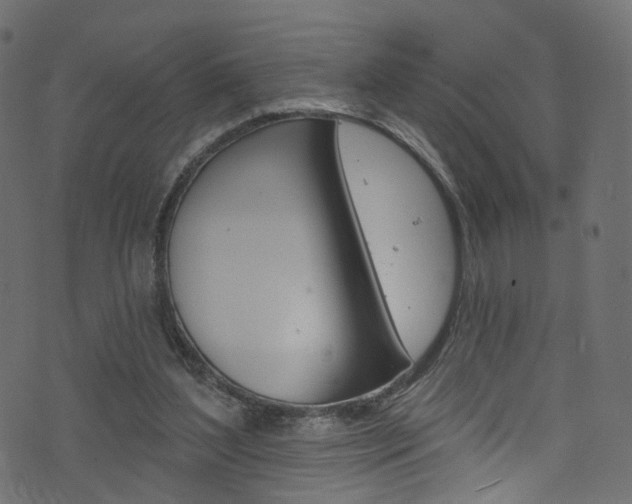 X0000074340204200608251054