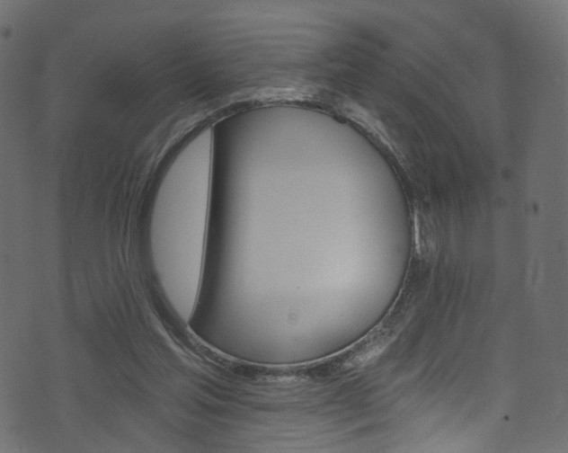 X0000074340205200608251054