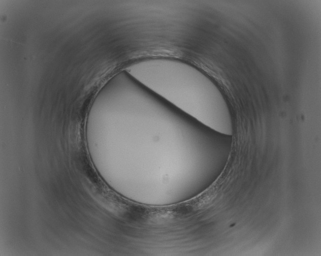 X0000074340206200608251054