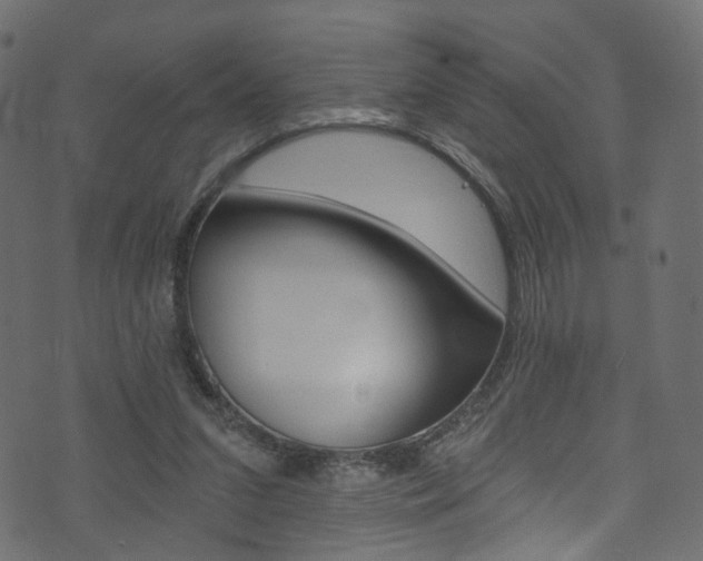 X0000074340207200608251054